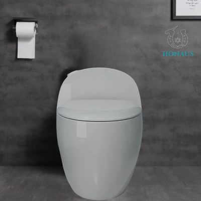 Egg Shape Toilet Bowl Siphon Flush