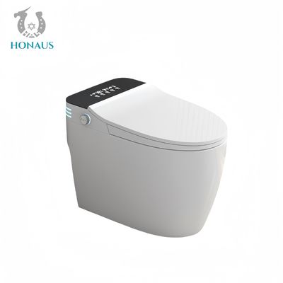 Luxury Smart Intelligent Toilet Ceramic Body Built - In Tank Multi Functions Available