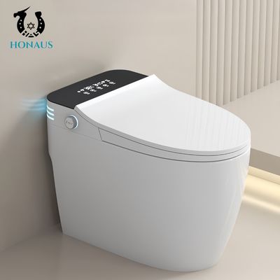 Luxury Smart Intelligent Toilet Ceramic Body Built - In Tank Multi Functions Available