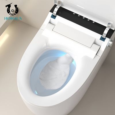 Luxury Smart Intelligent Toilet Ceramic Body Built - In Tank Multi Functions Available