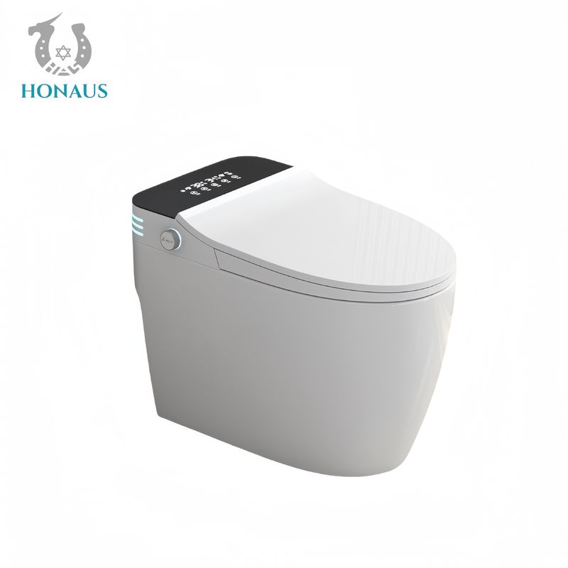 Luxury Smart Intelligent Toilet Ceramic Body Built - In Tank Multi Functions Available